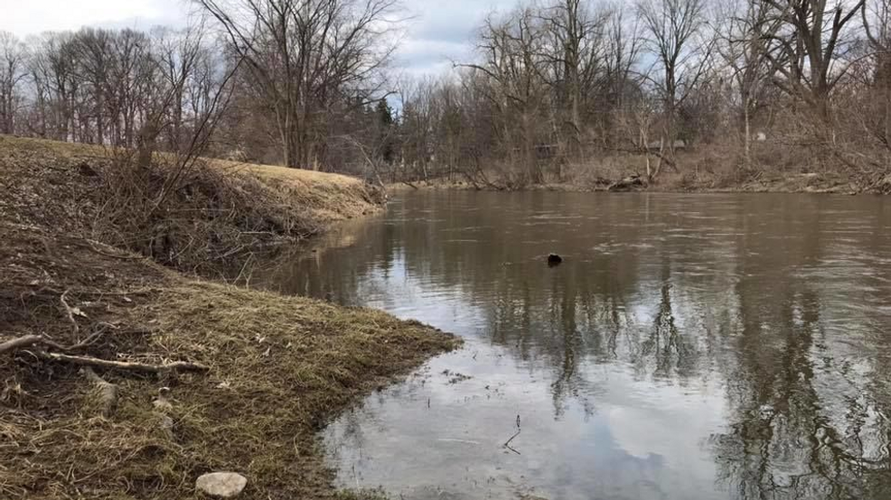 Stormwater and sewage discharged into Flint River - nbc25news.com