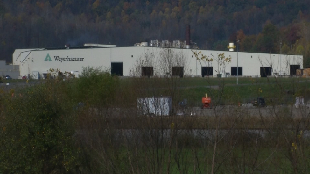 Braxton County lumber mill operations halted after fire WCHS