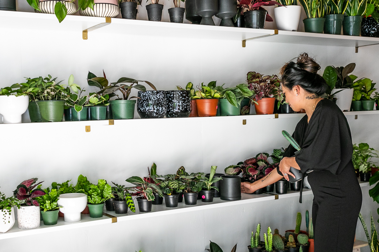 A Madisonville Garage Is Home to a Lovely PopUp Plant Business