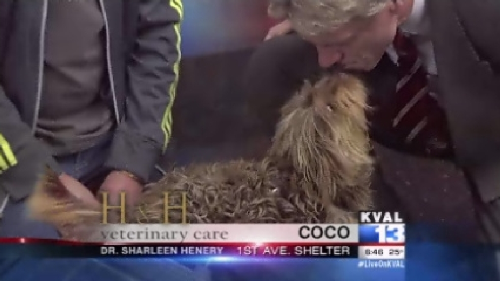 pet_coco.jpg