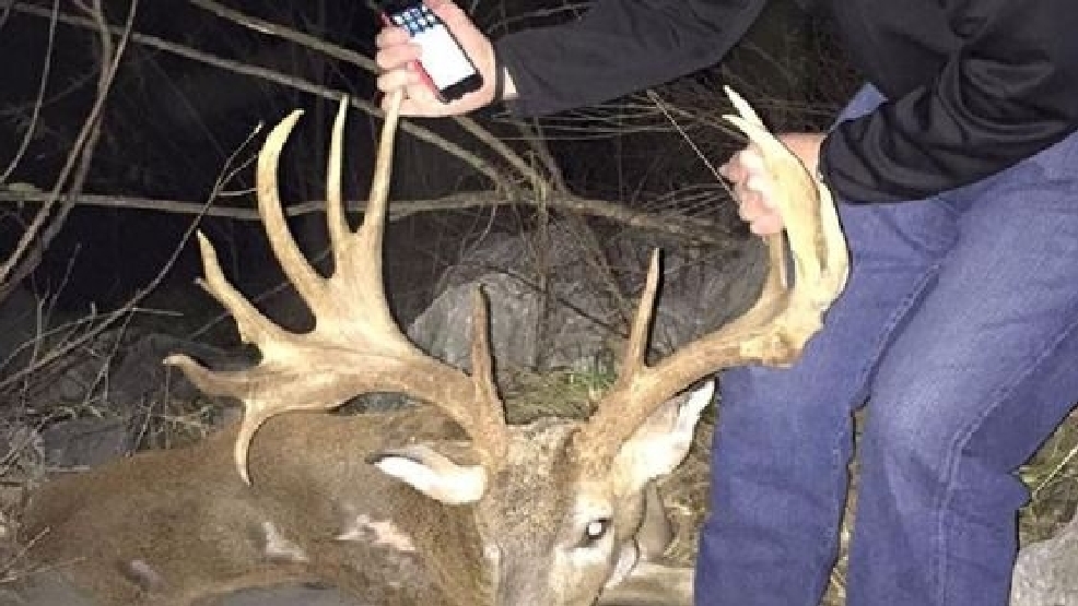 PHOTO GALLERY Big Buck Hits Family Truck In Alabama WCHS