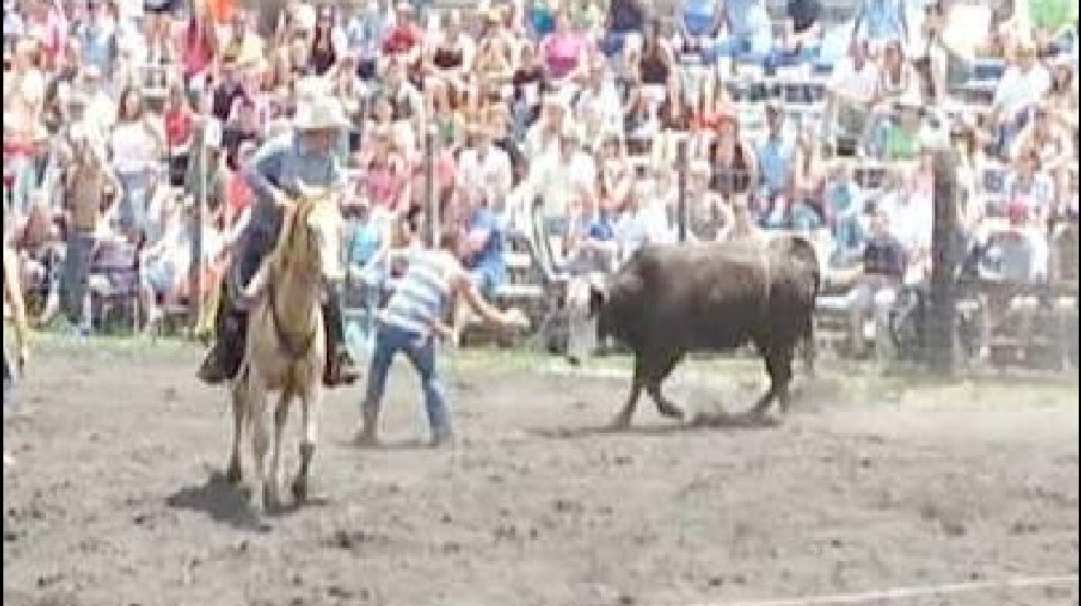 1303429_bull_trample.jpg