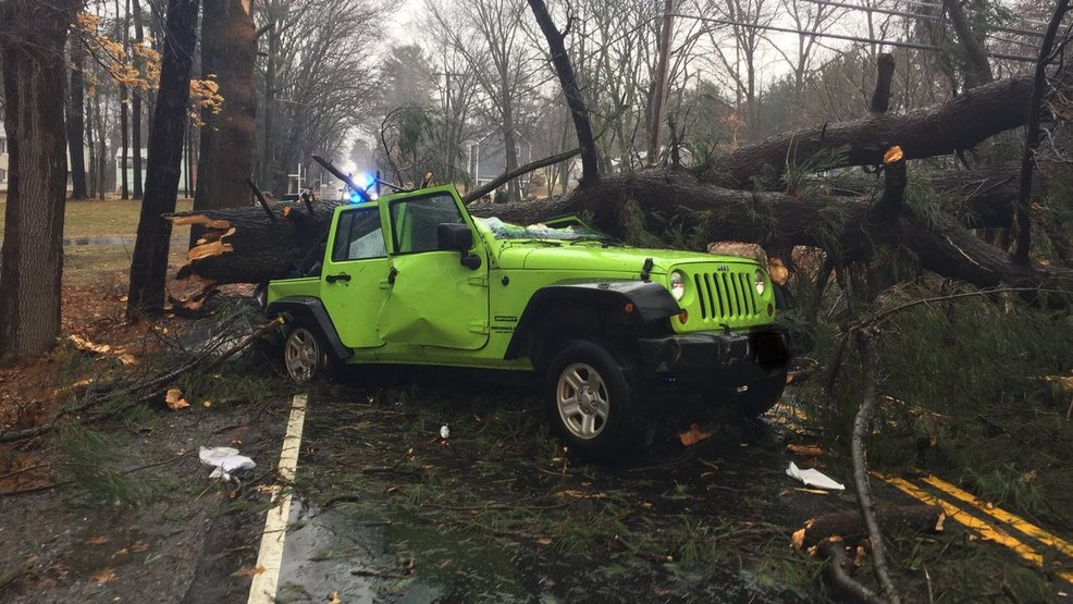Tree fall jeep