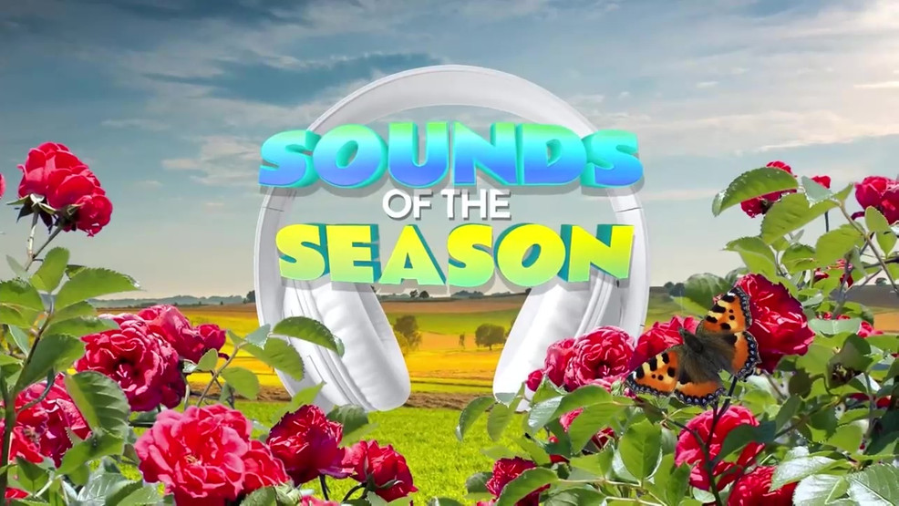 Sounds of the Season Watch Daytime