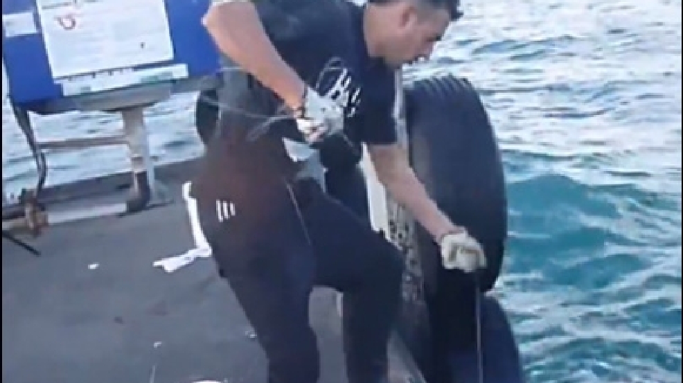 131212_fish_catch.jpg