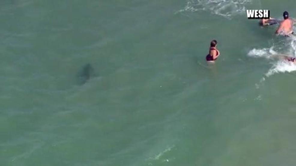 Shark Close Call At Daytona Beach Wpec