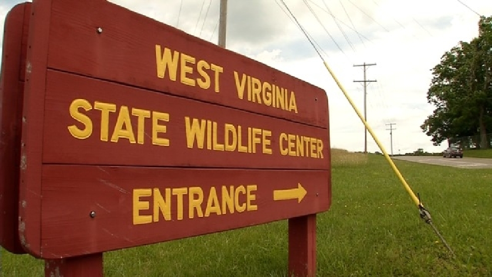 What Are West Virginia S Natural Resources What Are West Virginia S Natural Resources