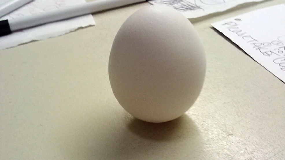 An 'Eggxaggerated' tale You can stand up an egg on the equinox! KOMO