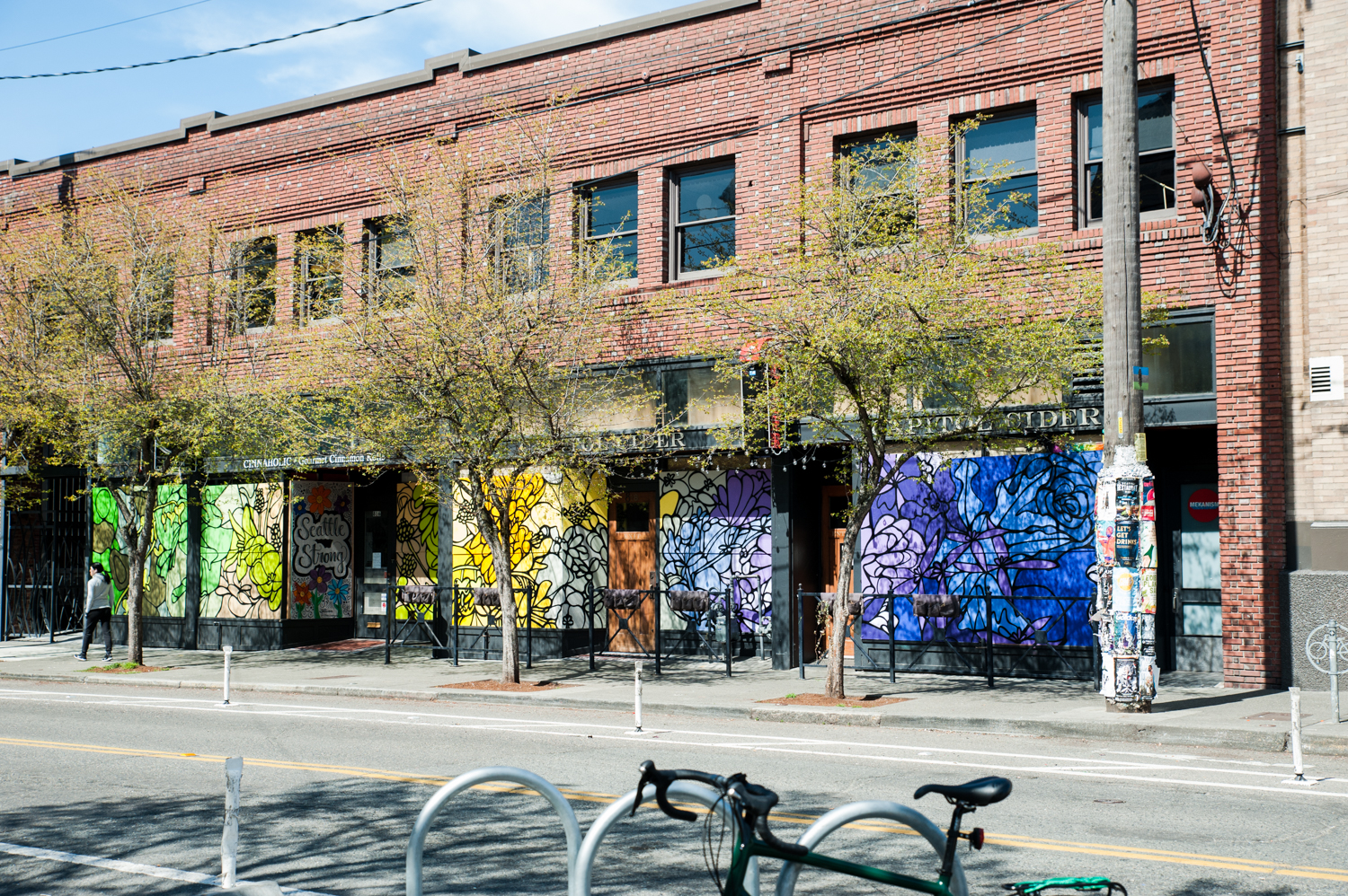 Photos Incredible Capitol Hill murals light up the empty city streets