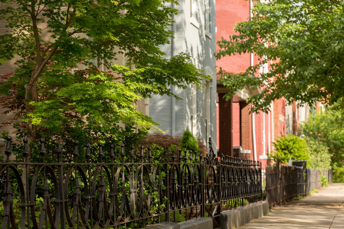 Photos A Stroll Through Newport's East Row Historic District