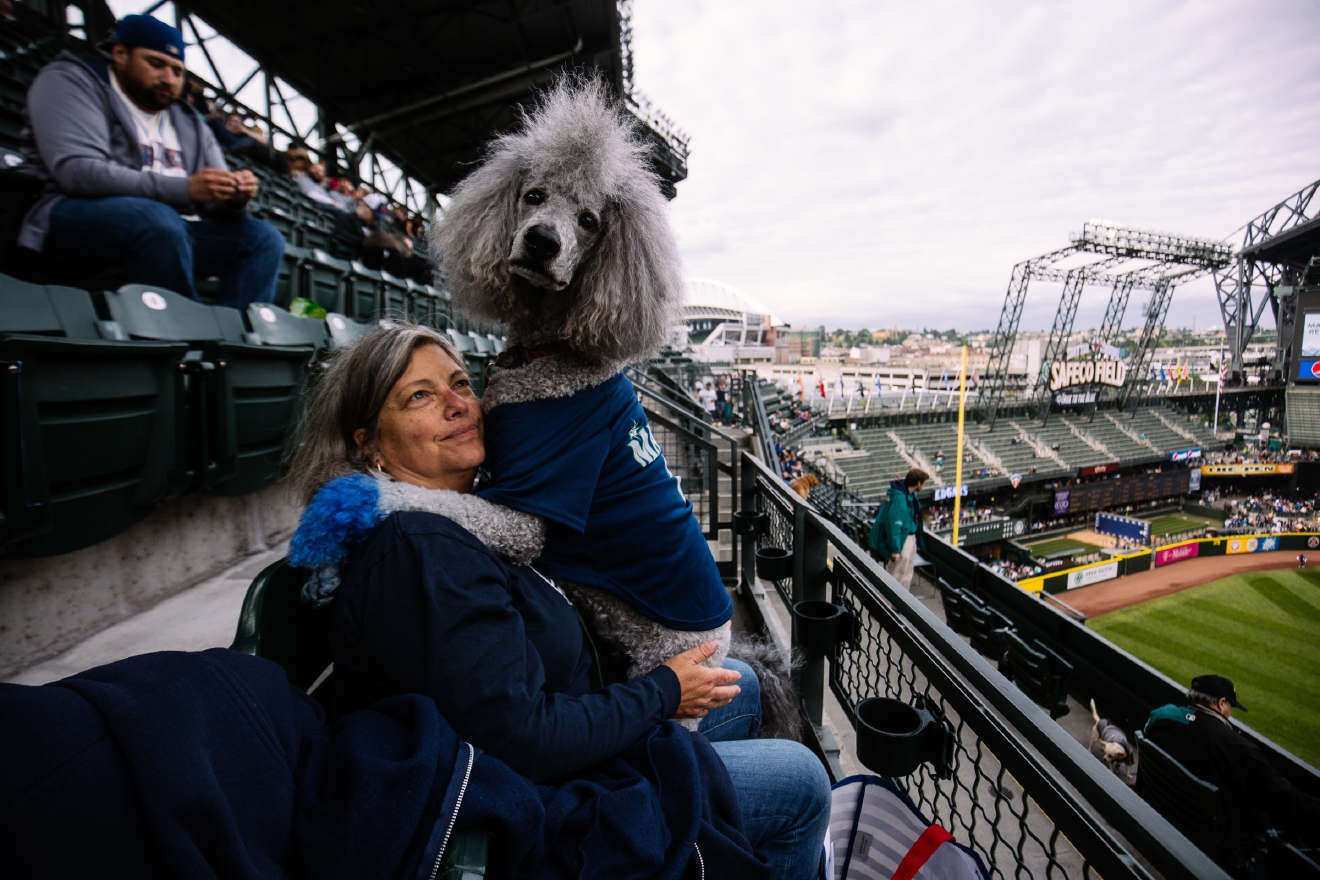 Who Let The Dogs In (To Safeco Field)? Mariners Host Bark in the Park