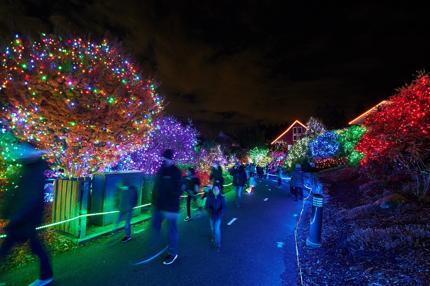 Photos A Walking Tour of ZooLights at Point Defiance Zoo & Aquarium