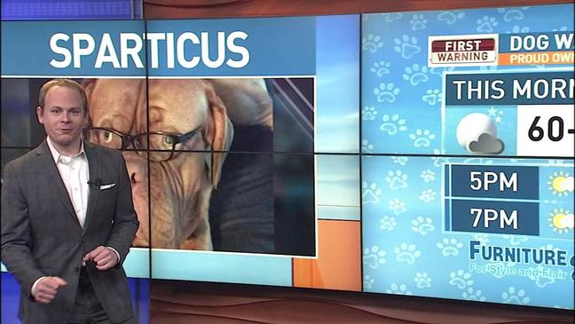 Wednesday 5/2 Dog of the Day