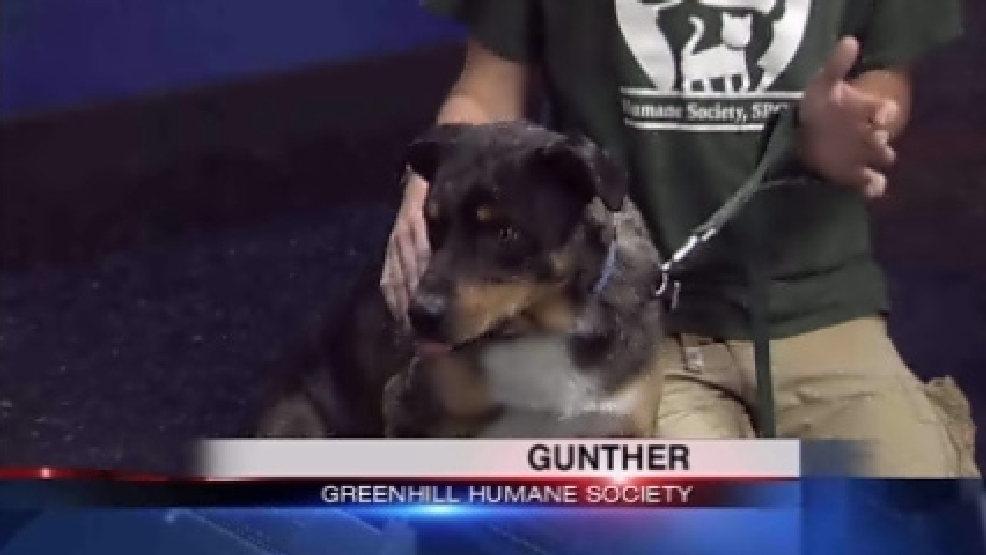 pet_gunther.jpg