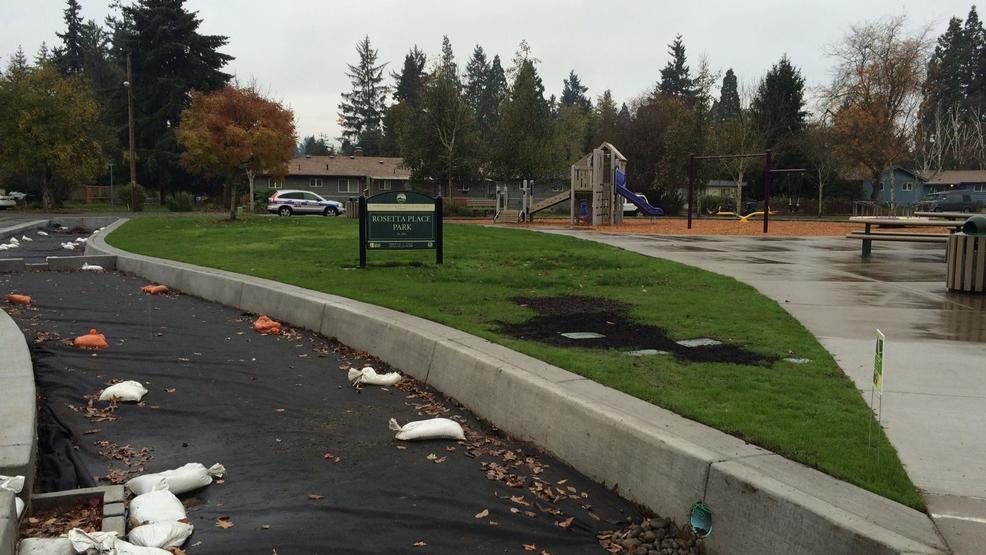Eugene Is Using Rain Gardens To Filter Pollutants Out Of The Storm Drains
