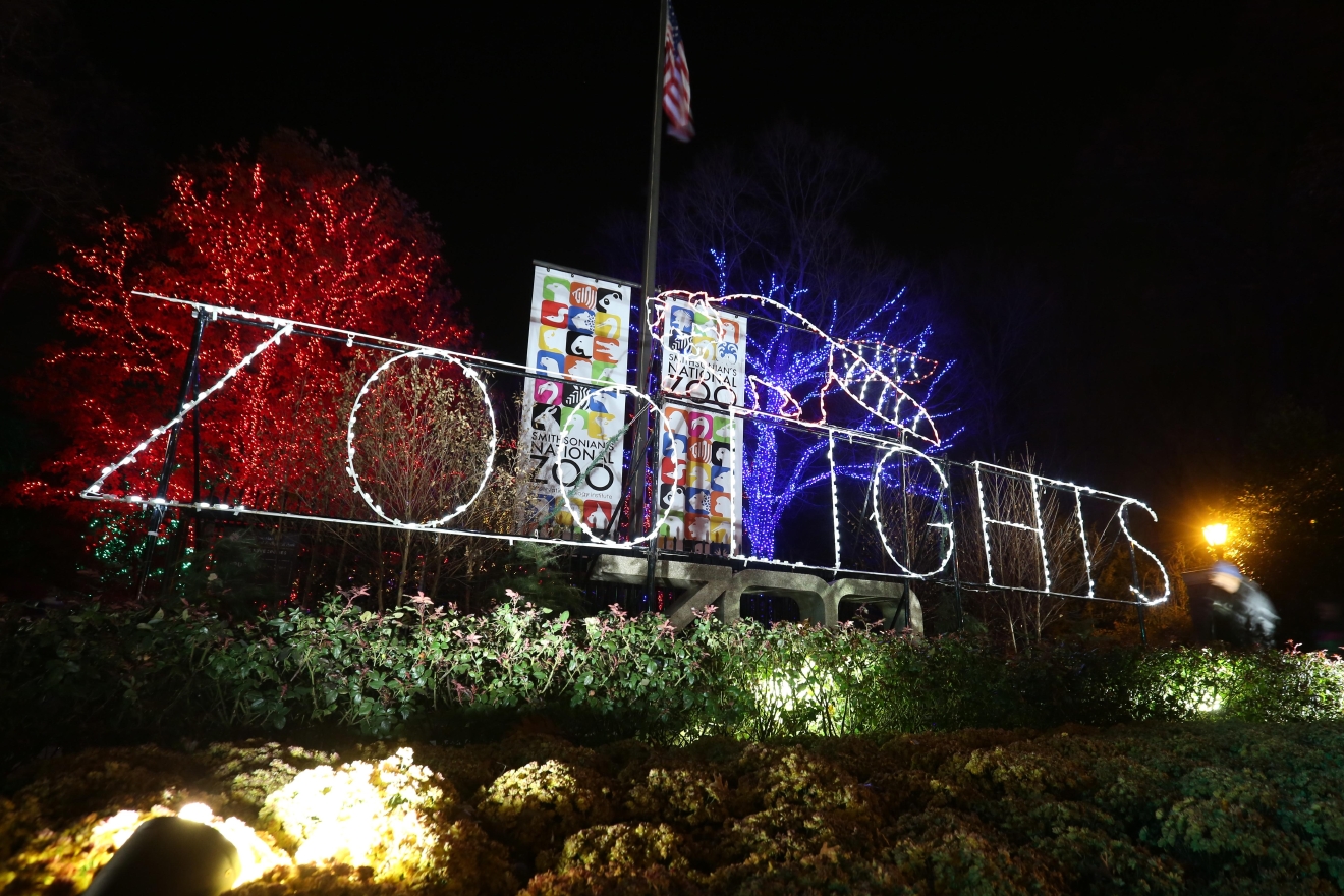 ZooLights return to illuminate the National Zoo DC Refined