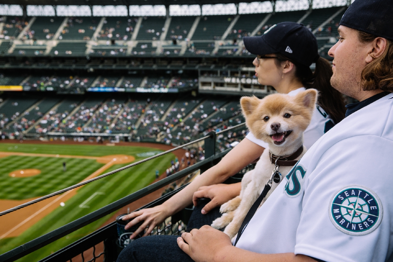 Who Let The Dogs In (To Safeco Field)? Mariners Host Bark in the Park