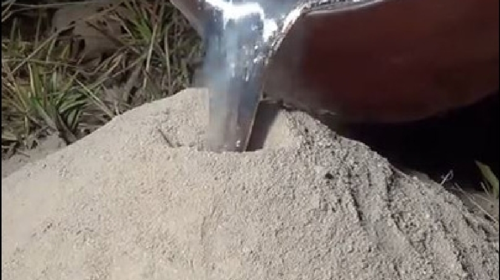 131213_fire_ants.jpg