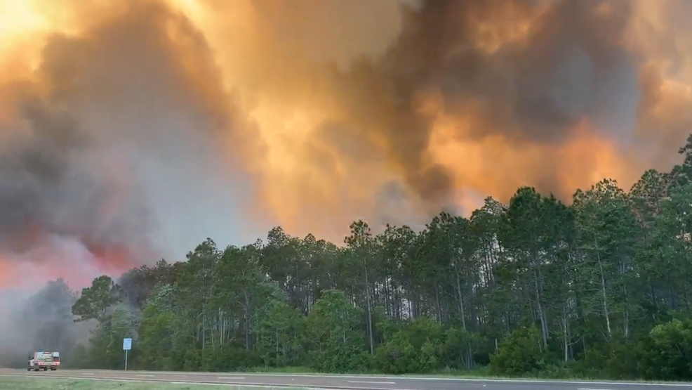 Five Mile Swamp Fire, Hurst Hammock Fire 65 contained WJTC