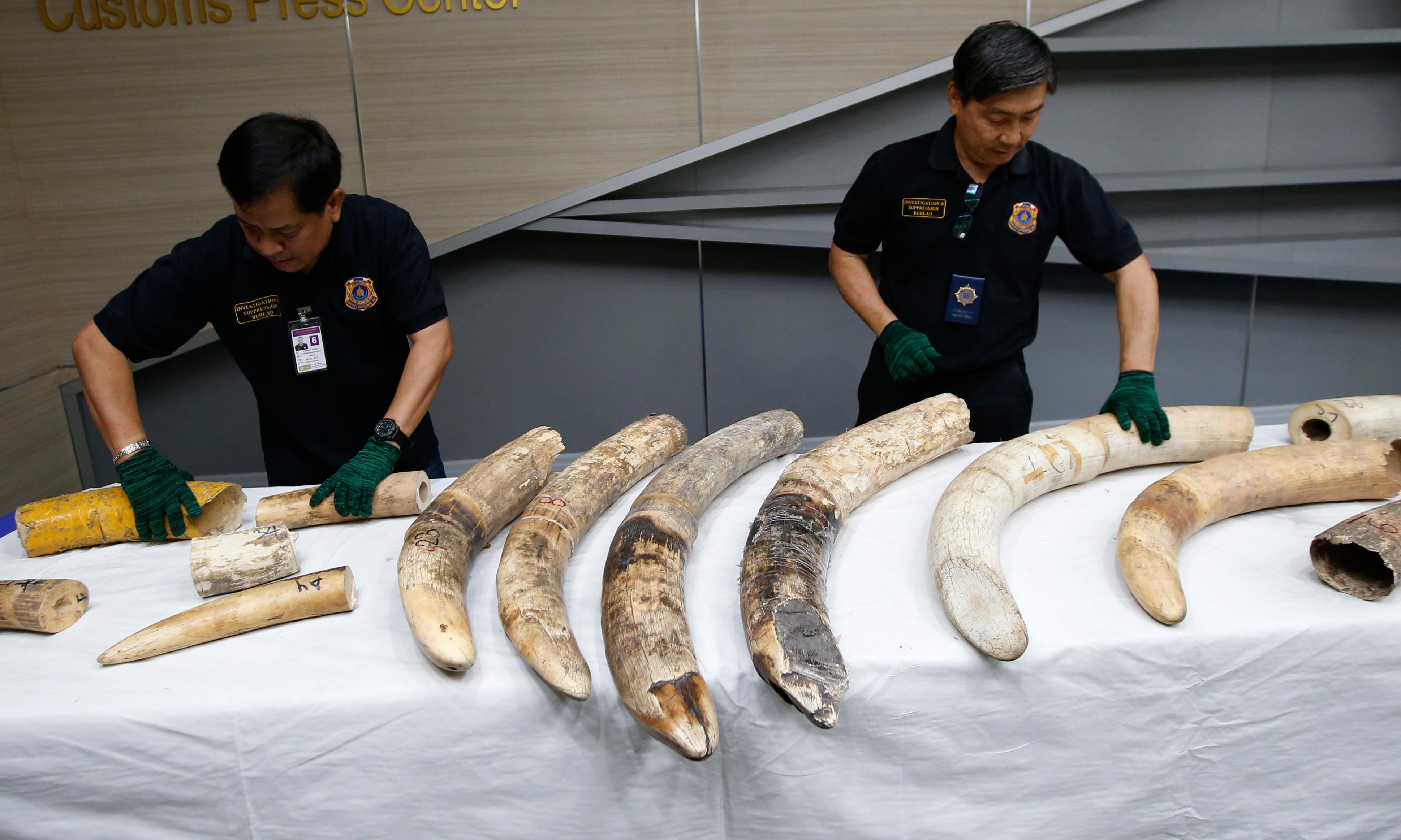 Thailand seizes large elephant tusks worth over 450,000 WLUK