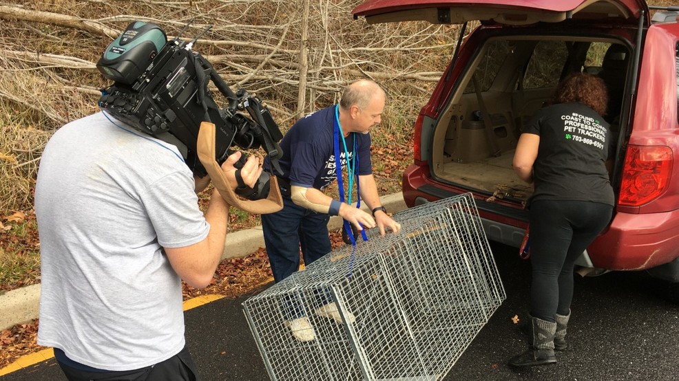 Lost Animal Rescue Group Asking Public To Stop Interfering With Search Lost Animal Rescue Group Asking Public To Stop Interfering With Search