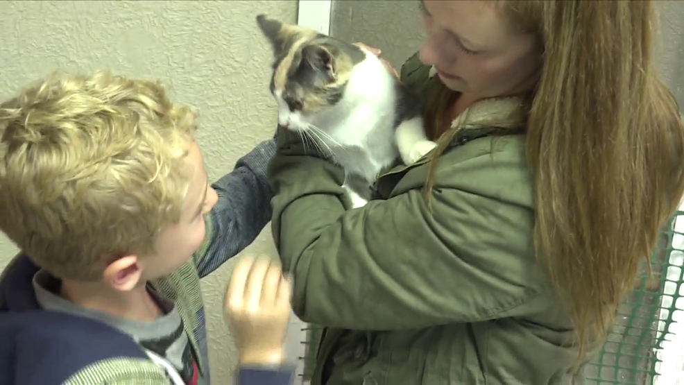 More than 75 shelters participate in 'Empty the Shelter' adoption event