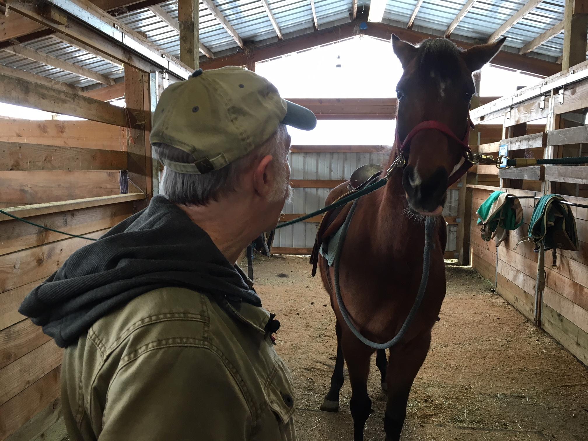 Oregon Horse Rescue back on solid ground, for now KVAL
