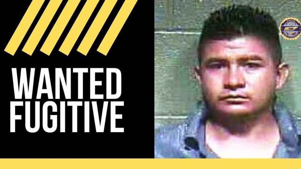 TBI Searching For Man Wanted In Vehicular Homicide Of Middle Tennessee
