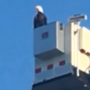 Bald eagle lands on fire truck during Sept. 11 tribute