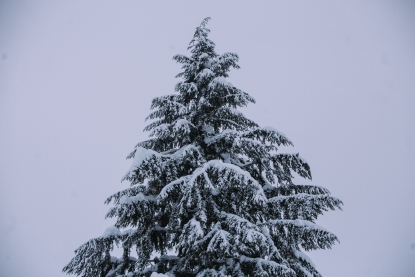 Noaa Sinks La Nina Forecast Should Skiers Be Worried Kboi