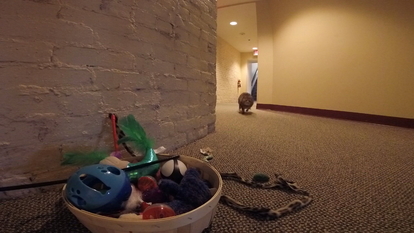 Special Employee Brought In To Help With Issue At Henderson County Courthouse Wlos